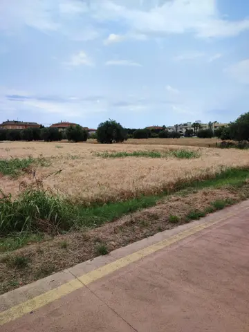 Terreno