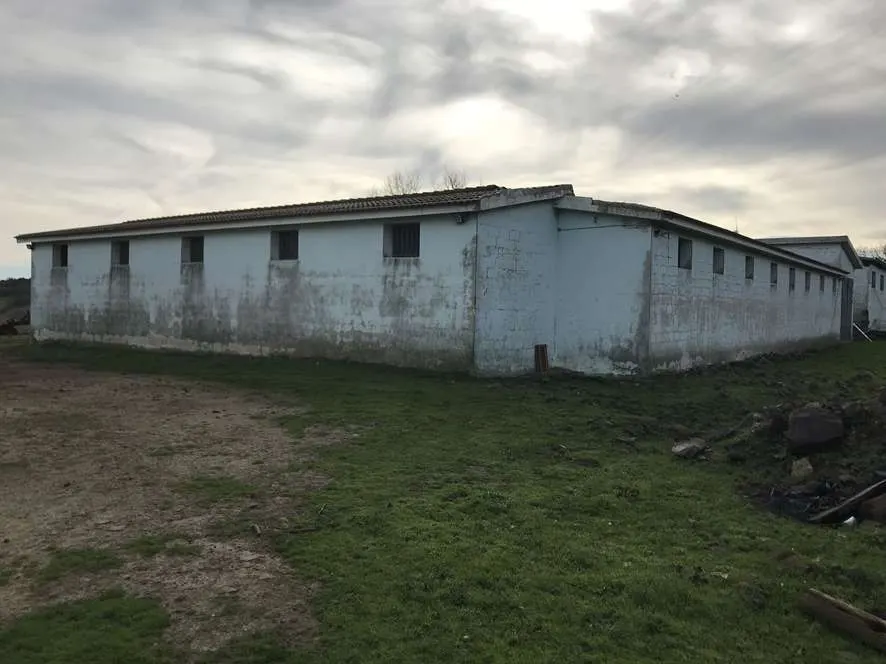 Fabbricati agricoli — foto 1