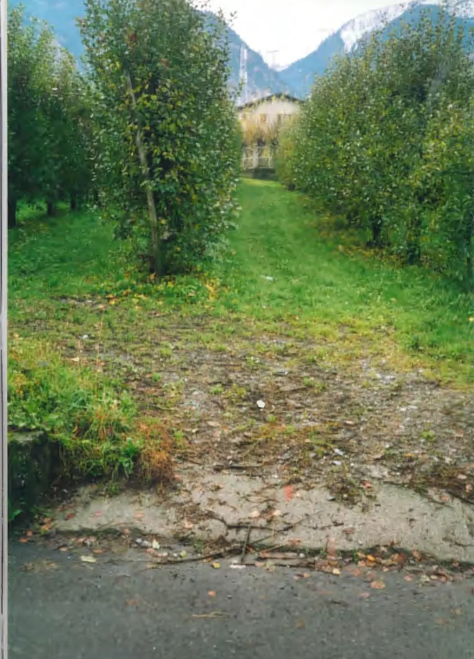 Terreno a Teglio (Sondrio) — foto 1