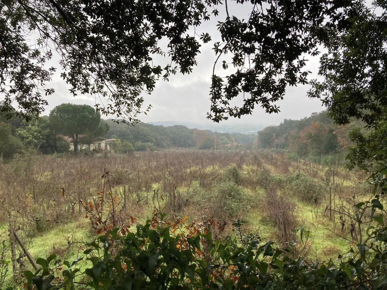 Fabbricato rurale — foto 1