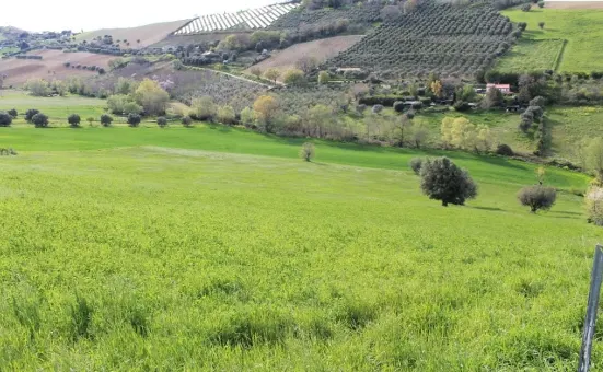 Terreno a Lapedona (Fermo) — foto 1