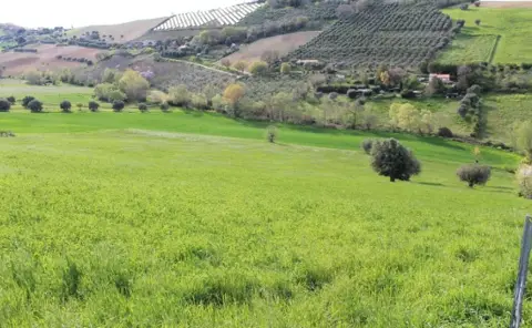 Terreno