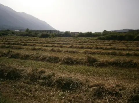 Terreno