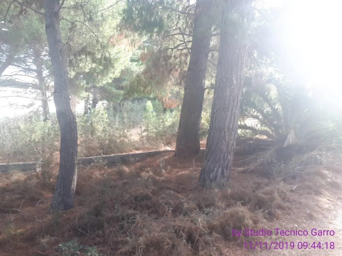 Terreno a Bisceglie (Barletta-Andria-Trani) — foto 1
