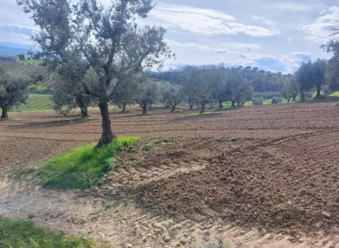 Terreno