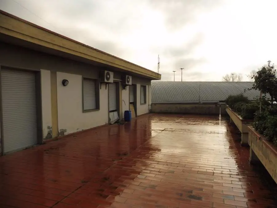 Terreno a Terranuova Bracciolini (Arezzo) — foto 1