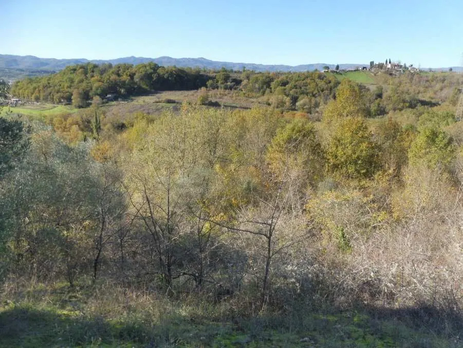 Terreno a Terranuova Bracciolini (Arezzo) — foto 1