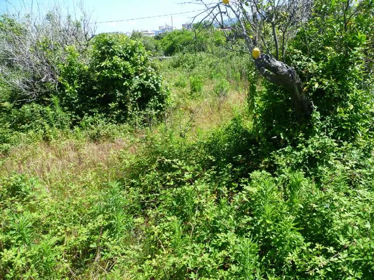 Terreno a Villafranca Tirrena (Messina) — foto 1
