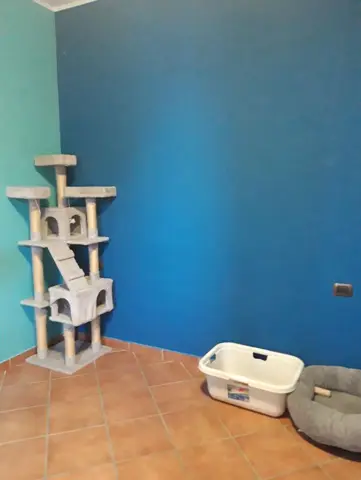Appartamento