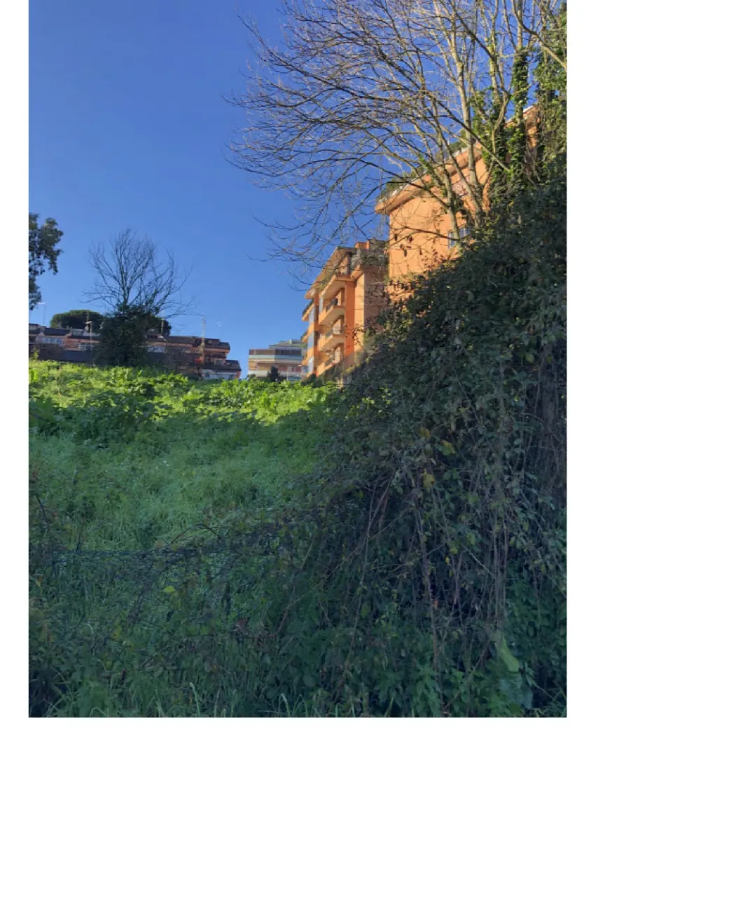 Terreno a Roma (Roma) — foto 1