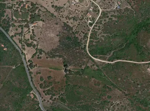 Terreno