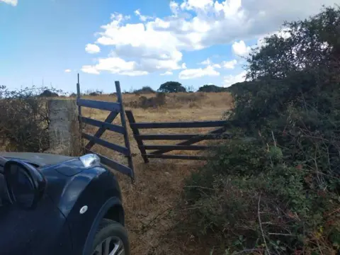 Terreno