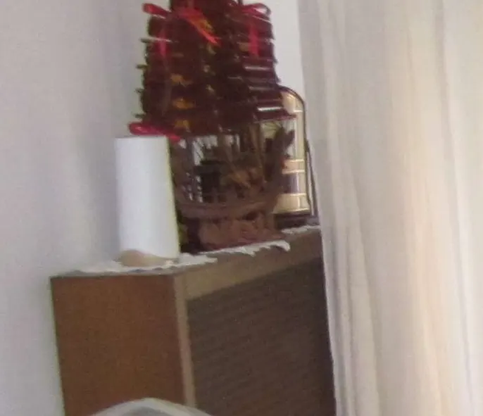 Appartamento a Pavia (Pavia) — foto 1