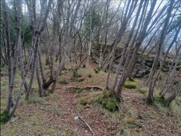 Terreno a Rovereto (Trento) — foto 1