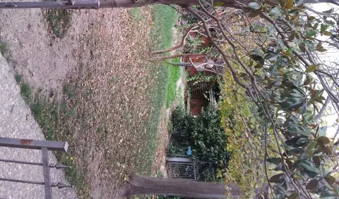 Villino