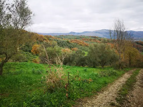 Terreno