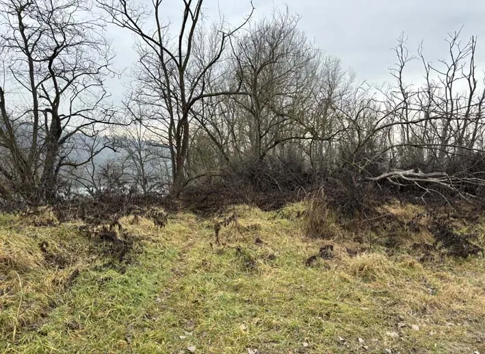 Terreno — foto 1