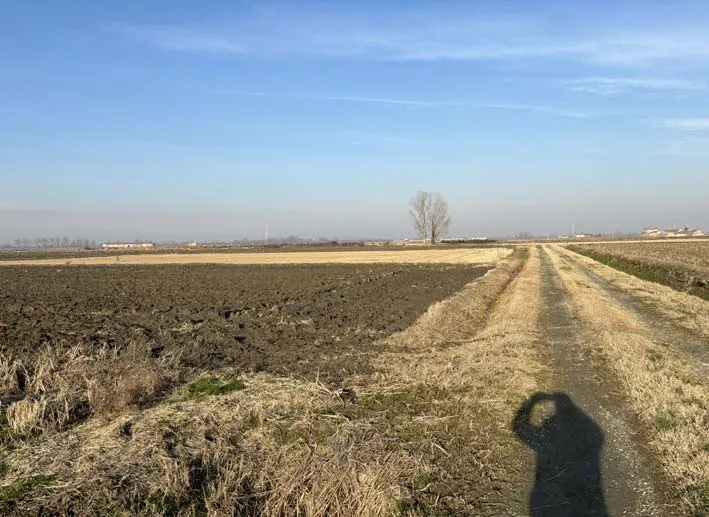 Terreno — foto 1