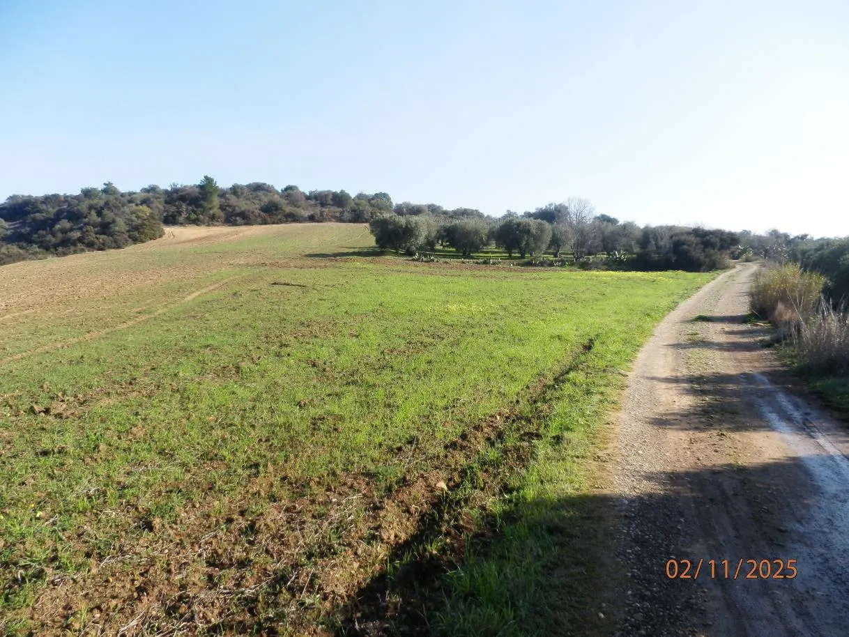 Terreno a Montescaglioso (Matera) — foto 1